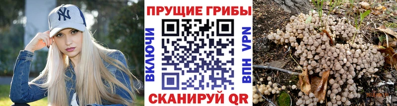 Галлюциногенные грибы ЛСД  Купить  Соль-Илецк 