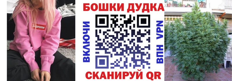 Бошки Шишки план  Купить  Соль-Илецк 